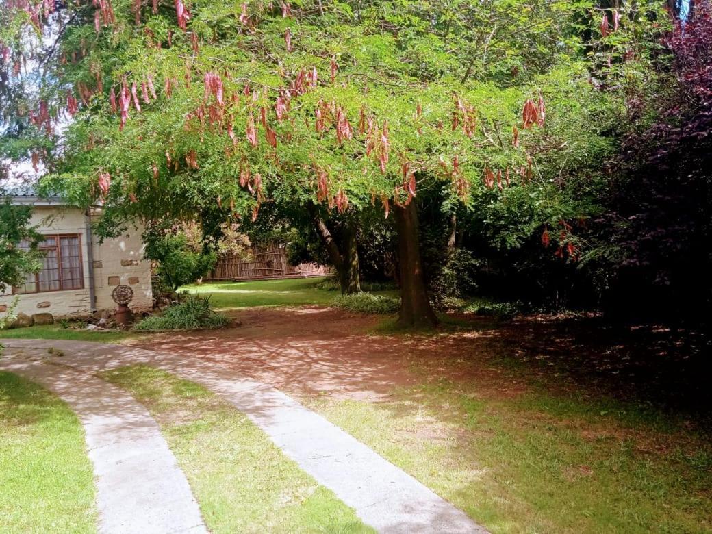 Rheola'S Guest Cottage Harrismith Zewnętrze zdjęcie